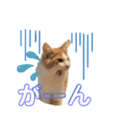 レオくんだよ！（個別スタンプ：3）