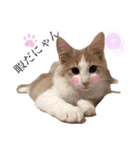 レオくんだよ！（個別スタンプ：9）