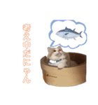 レオくんだよ！（個別スタンプ：10）