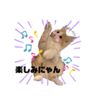 レオくんだよ！（個別スタンプ：12）