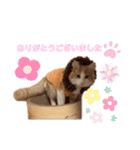 レオくんだよ！（個別スタンプ：13）