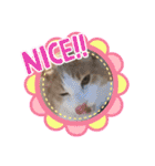 レオくんだよ！（個別スタンプ：17）