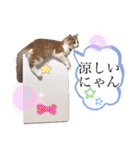 レオくんだよ！（個別スタンプ：19）