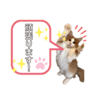 レオくんだよ！（個別スタンプ：20）