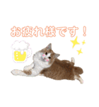 レオくんだよ！（個別スタンプ：22）