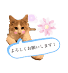 レオくんだよ！（個別スタンプ：23）