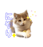レオくんだよ！（個別スタンプ：24）