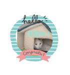猫(=^ェ^=)ファミリー（個別スタンプ：5）