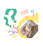 猫(=^ェ^=)ファミリー（個別スタンプ：7）