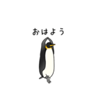 瞑想ペンギン（個別スタンプ：1）