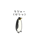 瞑想ペンギン（個別スタンプ：2）