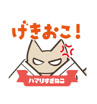 柔道にハマりすぎねこ（個別スタンプ：12）