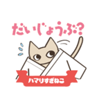 柔道にハマりすぎねこ（個別スタンプ：13）