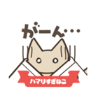 柔道にハマりすぎねこ（個別スタンプ：22）