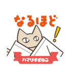 柔道にハマりすぎねこ（個別スタンプ：25）