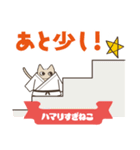 柔道にハマりすぎねこ（個別スタンプ：30）