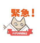 柔道にハマりすぎねこ（個別スタンプ：36）