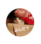 二匹ねこ（個別スタンプ：4）