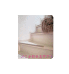 家族のLINEに使える実写版けだまスタンプ（個別スタンプ：26）