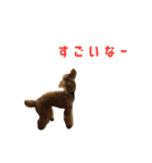 モモ ＆ ルーシー（個別スタンプ：7）