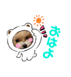 パピたんスタンプ♡（個別スタンプ：1）