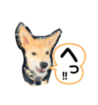 虎鉄 0歳（個別スタンプ：9）