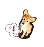 虎鉄 0歳（個別スタンプ：10）