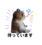 みんなのカイくん8（個別スタンプ：5）