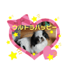 日本わんこ狆の可愛い愛のコトダマ日常編④（個別スタンプ：18）