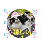 日本わんこ狆の可愛い愛のコトダマ日常編④（個別スタンプ：21）
