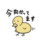 いい感じのひよこ（個別スタンプ：11）