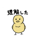 いい感じのひよこ（個別スタンプ：19）