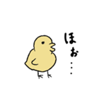 いい感じのひよこ（個別スタンプ：23）