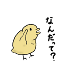 いい感じのひよこ（個別スタンプ：31）