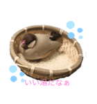 ヨチコメネギイクラピピさん（個別スタンプ：5）