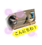 ヨチコメネギイクラピピさん（個別スタンプ：7）