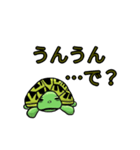 カメまみれ（個別スタンプ：1）