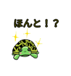 カメまみれ（個別スタンプ：2）