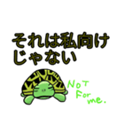 カメまみれ（個別スタンプ：4）