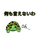 カメまみれ（個別スタンプ：5）