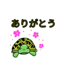カメまみれ（個別スタンプ：6）