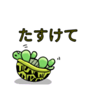 カメまみれ（個別スタンプ：7）
