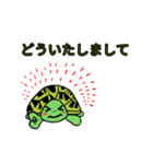 カメまみれ（個別スタンプ：8）