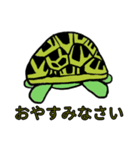 カメまみれ（個別スタンプ：11）