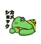 カメまみれ（個別スタンプ：12）