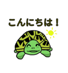 カメまみれ（個別スタンプ：14）