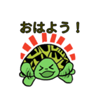 カメまみれ（個別スタンプ：15）