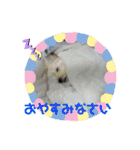 ウェスティ♡ちょこっと関西弁ナラちゃん（個別スタンプ：4）