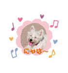 ウェスティ♡ちょこっと関西弁ナラちゃん（個別スタンプ：13）