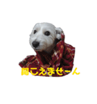 ウェスティ♡ちょこっと関西弁ナラちゃん（個別スタンプ：32）